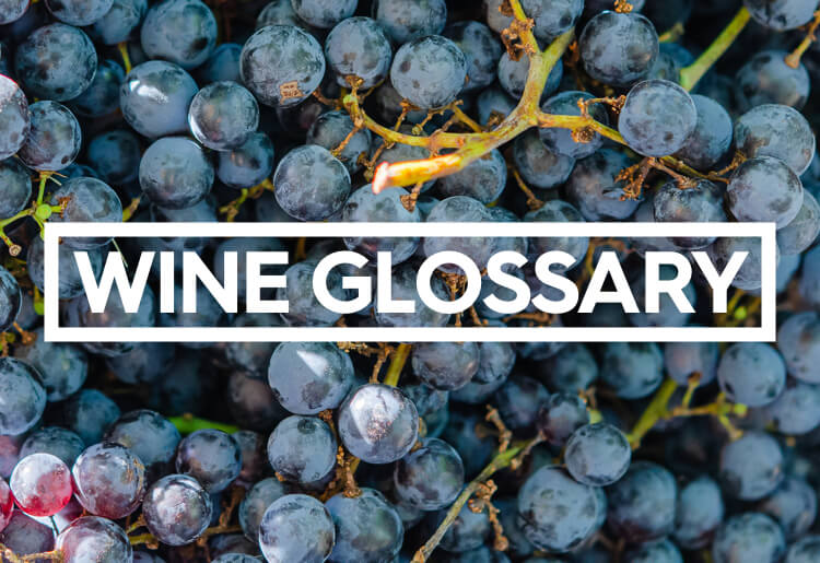 Wine Glossary